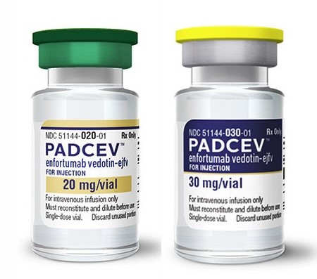 Padcev (enfortumab vedotin-ejfv)